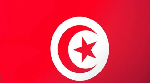 Tunisia Waving Flag Stock Footage 10762722