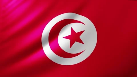 Tunisian flag Video stock 326080405