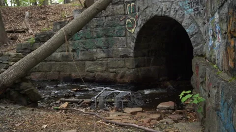 TUNNEL BY CREEK Stock Footage 194489384
