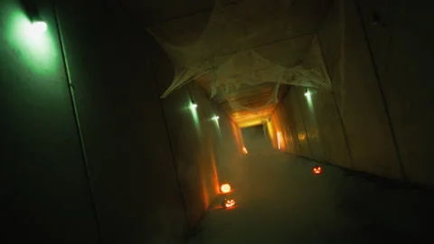 The Tunnel Of Death Has No End Stock Footage 317621393