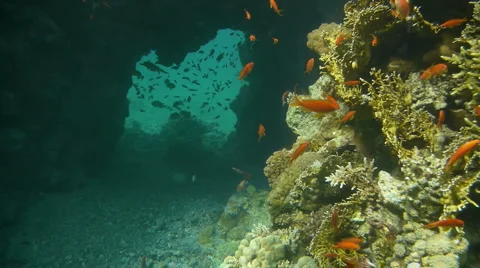Tunnel dive P1 스톡 동영상 942440