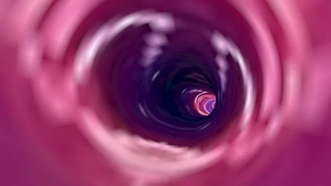 Tunnel. Stock Footage 312378185