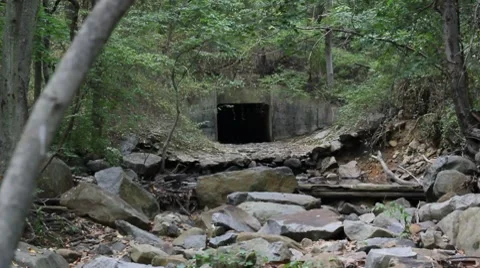 Tunnel in the Forest 動画素材 7904189