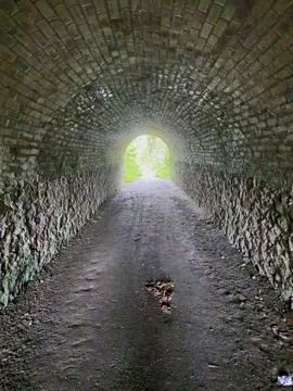 Tunnel on the great flat lode mining trail Stock Photos