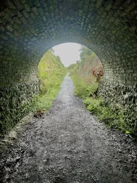 Tunnel on the great flat lode mining trail Stock Photos