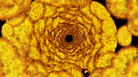 Tunnel to Hell 1080p Vidéo 112913