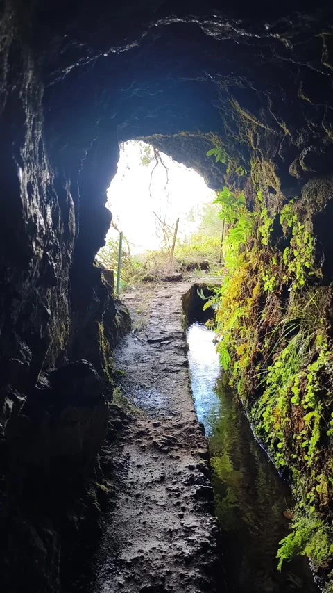 Tunnel on Levada do Caldeirão Verde Stock Footage 272167319