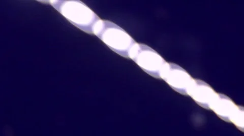 Tunnel light detail Stock Footage 1008559