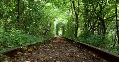 Tunnel of Love Stock Footage 164301461