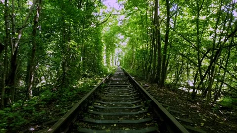 Tunnel of lovers Stock Footage 199941633