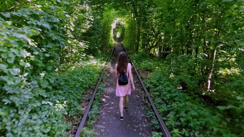 Tunnel of lovers Stock Footage 201106768