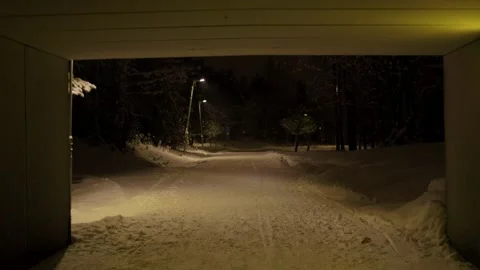 Tunnel In The Night Stockbeeldmateriaal 169790986