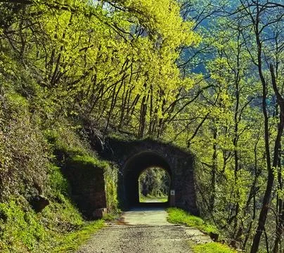 A tunnel in the path Stock Photos