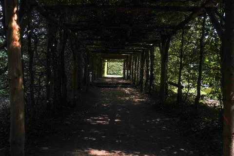 A tunnel surrounded by dense trees in a park Stock Photos