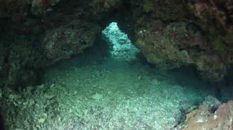 Tunnel Through Coral Reef Stock Footage 45521310