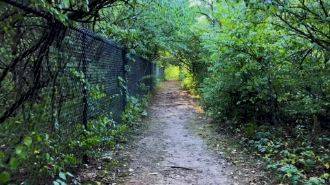 Tunnel Trail Stock Footage 206257633