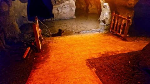 A tunnel with a tree. Stock Footage 282966253