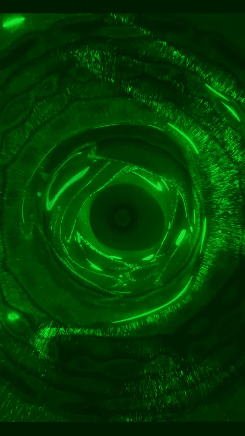 Tunnel video loop creates a seamless visual experience with vibrant green l.. Stock Footage 321563916