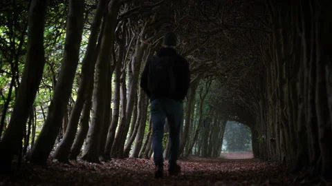 Tunnel walk Stock Footage 162877849