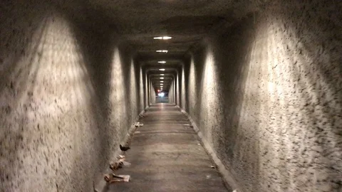 Tunnel walkway Stock Footage 97968269