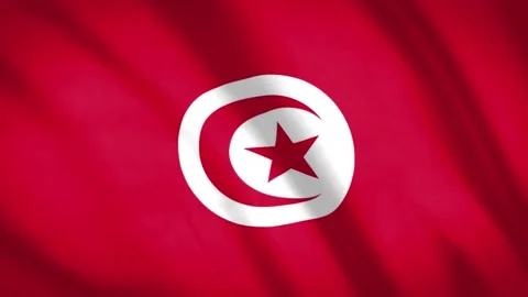Tunus Flag  Stock Footage 188174986