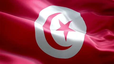 Tunusia Flag Stock Footage 116404327