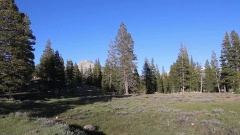 Tuolumne Meadows - Yosemite Stock Footage 100526217