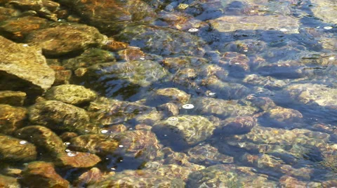 Tuolumne River 库存影片 934177