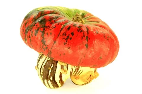 Turban squash Stock Photos