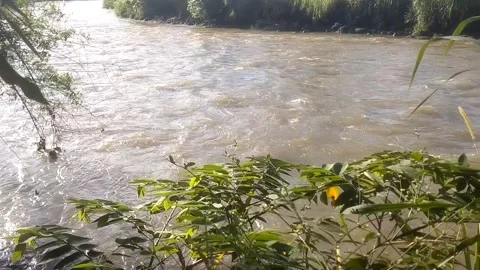 Turbid River Current Flowing by the Riverbank 스톡 동영상 335082281