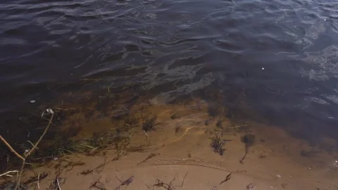 Turbid water with algae in a spring river, background. Copy space for text Stockbeeldmateriaal 306367236