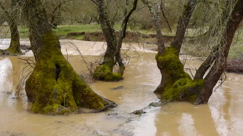 Turbid waters in the flood Stock Footage 103054849