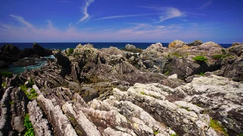 Turbidite Reef Vidéo 330969616