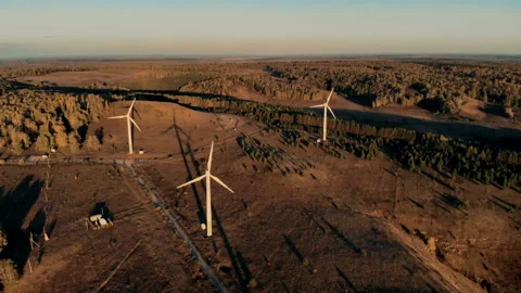Turbine towers are functioning in a sunrise. Wind energy, wind electricity Stock Footage 98493383