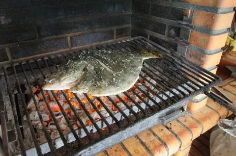Turbot on the grill Stock Photos