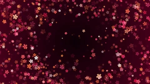 Turbulence Motion Red Shiny Scattered Cherry Blossoms Sakura Sparkle Frame Stock Footage 234527768