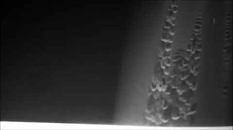 Turbulence science exhibit Stock Footage 1848203