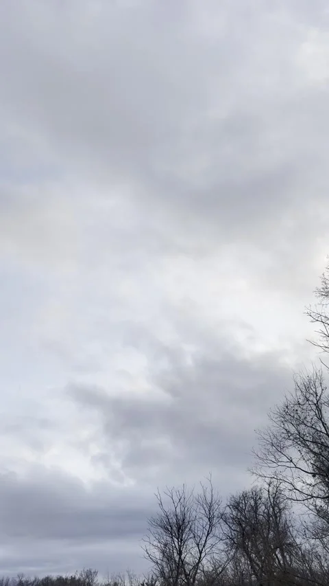Turbulent Dark Clouds Above Bare Tree Tops Video stock 344807489