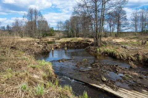 The turbulent flow of a small river eroding banks. Foto stock