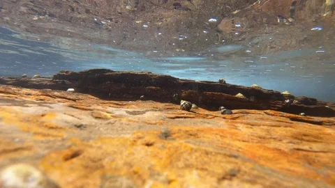 Turbulent Vídeo Stock 120721988