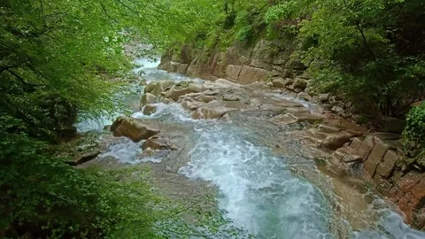 Turbulent mountain stream cascading over rocks in a lush green forest. Stock Footage 301045505