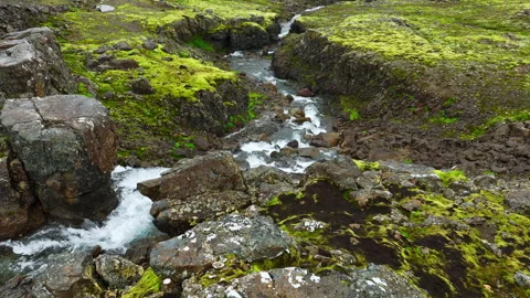 Turbulent mountain stream rushing through mossy basalt plateau beneath low Stock Footage 343796949
