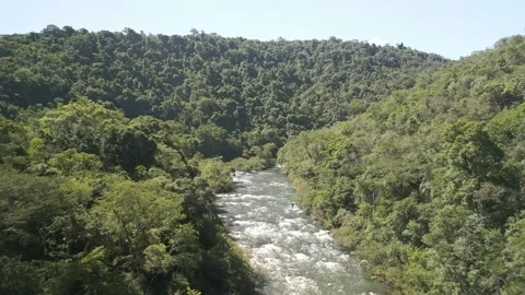 A turbulent river among trees on a sunny day. Drone footage. Stock Footage 332260662