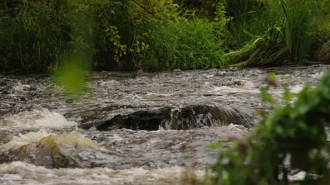 Turbulent River Flow Over Rock Stock Footage 343473946