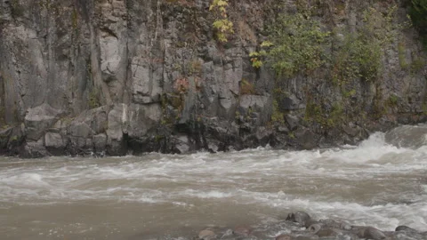 Turbulent River Flowing Through Rocky Gorge in Oregon Forest 库存影片 333424665