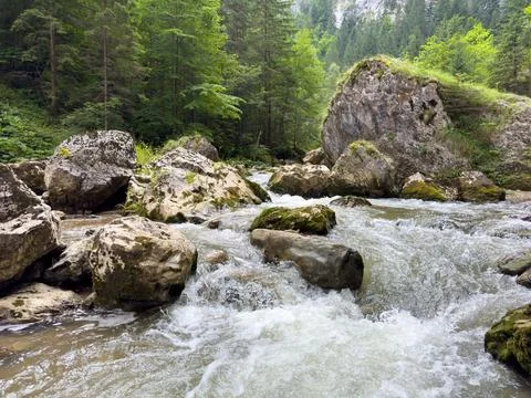 A turbulent river flows between rocks in the mountains Stock Photos