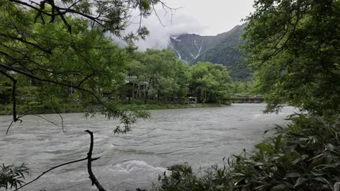 Turbulent River by the Forest Stock Footage 330929188
