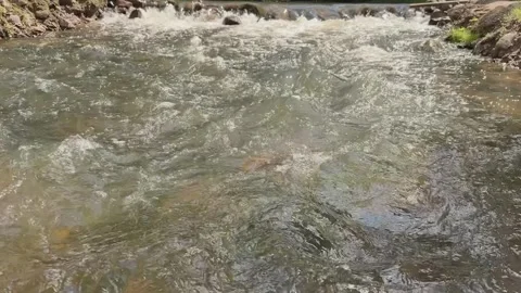 Turbulent river stream in wild nature Video stock 326633507