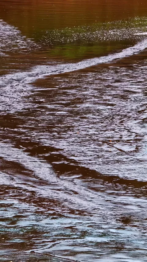 Turbulent river water flow with strong current patterns moving downstream. Stock Footage 337783911