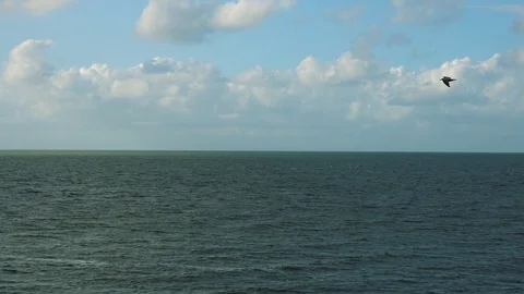 A turbulent sea surface, the cloudy blue sky in the background, birds fly across Stock-Footage 73965068
